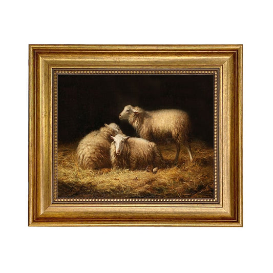 Sheep in the Hay Framed Oil Painting Print